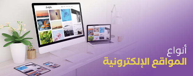 أنواع المواقع الإلكترونية